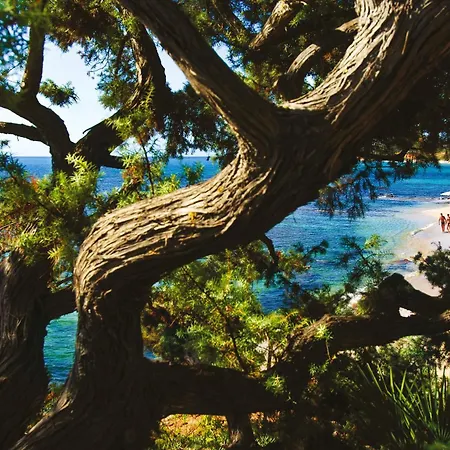 Hotel Luna Sardinia